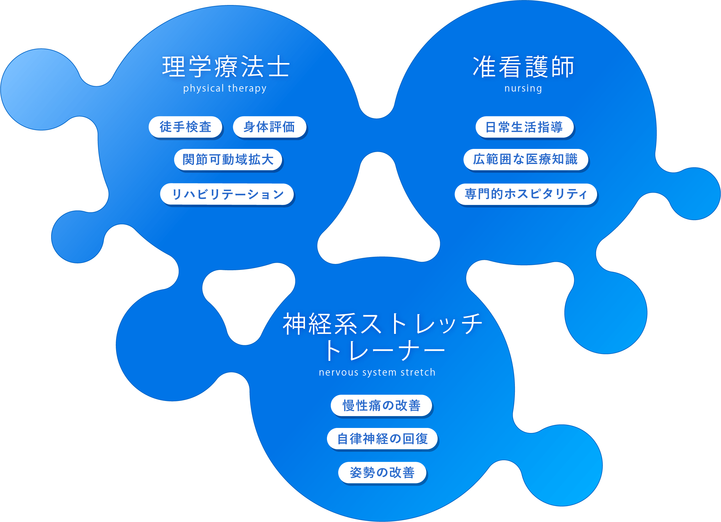 理学療法・看護・神経系ストレッチ